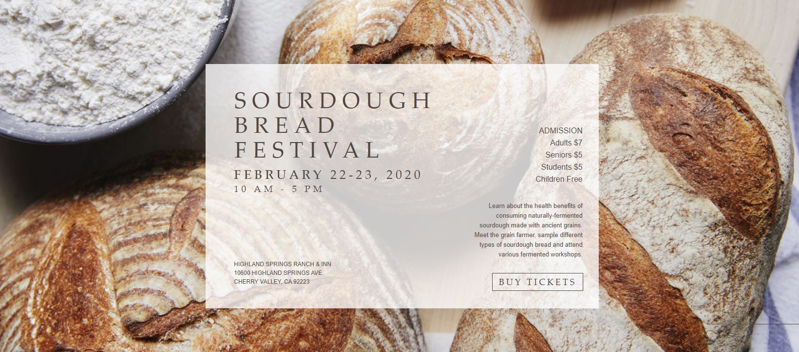 Sourdough Bread Festival – The Fermentation Association